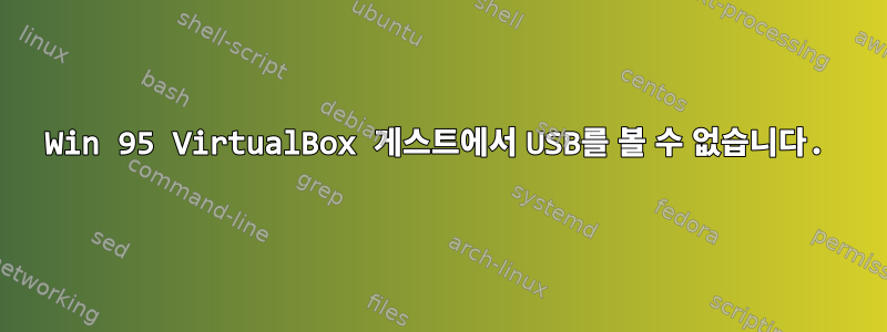 Win 95 VirtualBox 게스트에서 USB를 볼 수 없습니다.