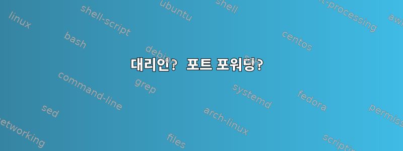 대리인? 포트 포워딩?