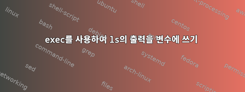 exec를 사용하여 ls의 출력을 변수에 쓰기