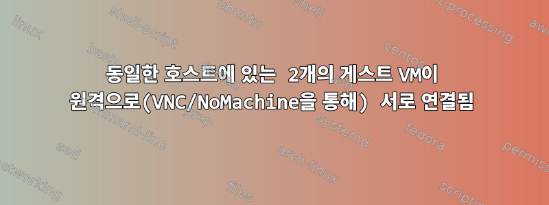 동일한 호스트에 있는 2개의 게스트 VM이 원격으로(VNC/NoMachine을 통해) 서로 연결됨