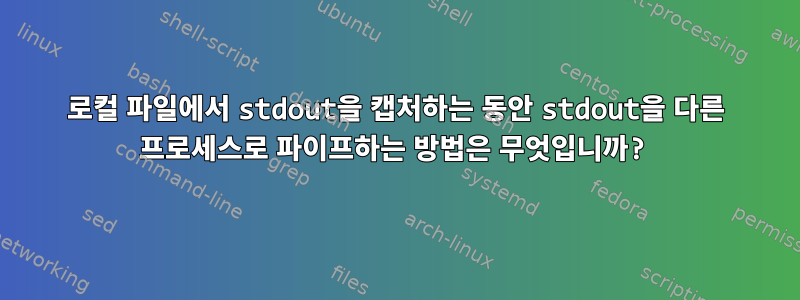 로컬 파일에서 stdout을 캡처하는 동안 stdout을 다른 프로세스로 파이프하는 방법은 무엇입니까?