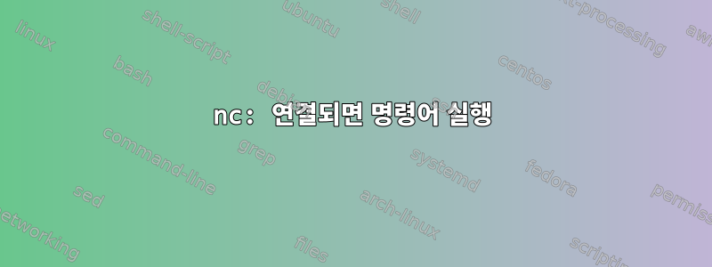 nc: 연결되면 명령어 실행