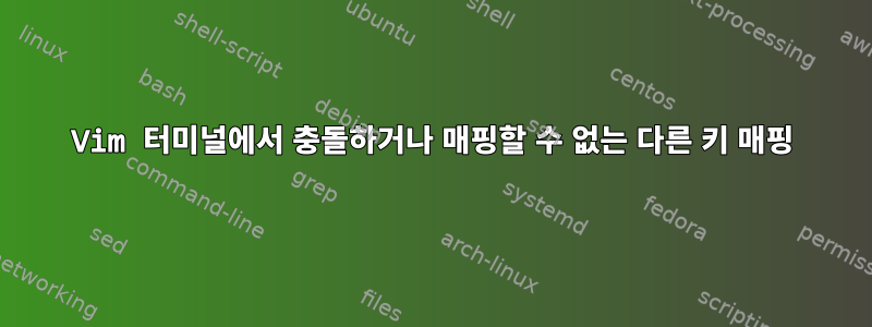 Vim 터미널에서 충돌하거나 매핑할 수 없는 다른 키 매핑