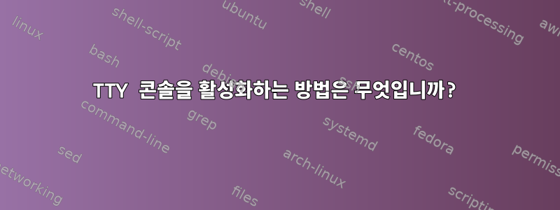 TTY 콘솔을 활성화하는 방법은 무엇입니까?