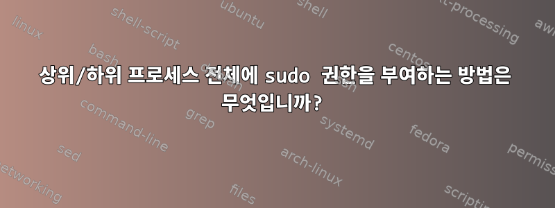 상위/하위 프로세스 전체에 sudo 권한을 부여하는 방법은 무엇입니까?