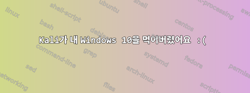 Kali가 내 Windows 10을 먹어버렸어요 :(