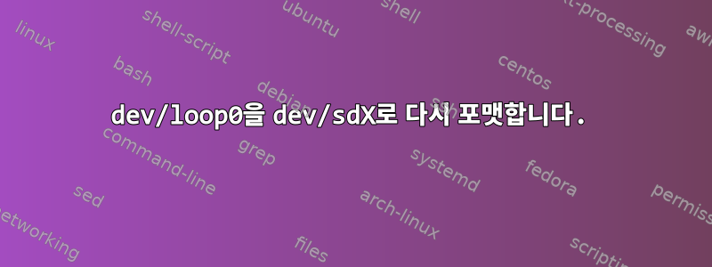 dev/loop0을 dev/sdX로 다시 포맷합니다.