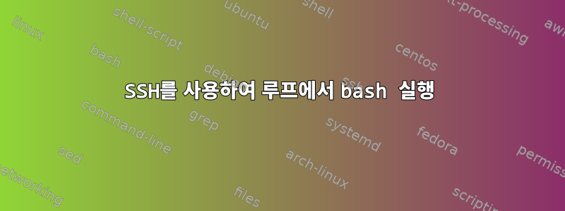 SSH를 사용하여 루프에서 bash 실행