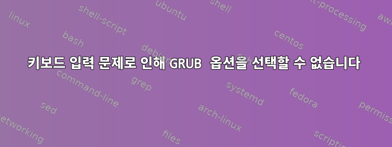 키보드 입력 문제로 인해 GRUB 옵션을 선택할 수 없습니다