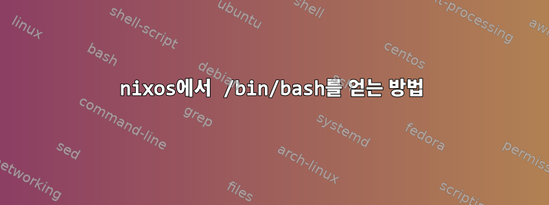 nixos에서 /bin/bash를 얻는 방법