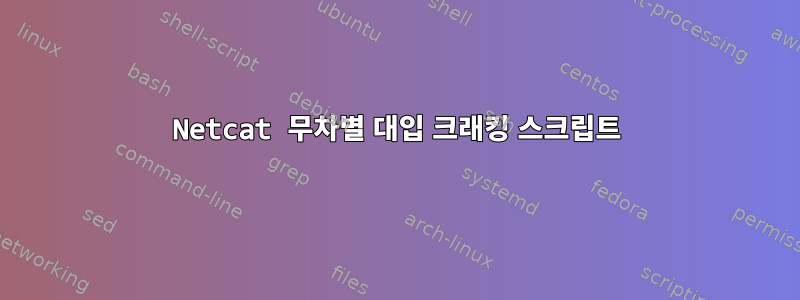 Netcat 무차별 대입 크래킹 스크립트