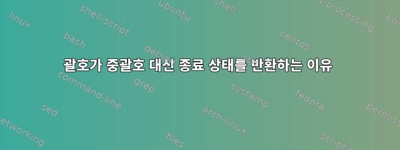 괄호가 중괄호 대신 종료 상태를 반환하는 이유