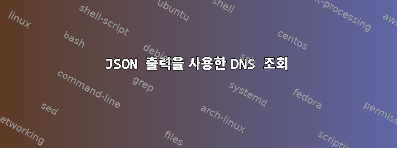 JSON 출력을 사용한 DNS 조회