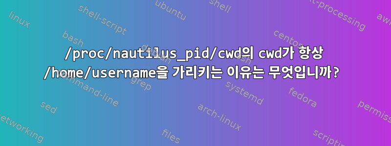 /proc/nautilus_pid/cwd의 cwd가 항상 /home/username을 가리키는 이유는 무엇입니까?