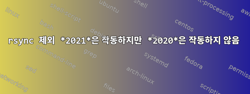 rsync 제외 *2021*은 작동하지만 *2020*은 작동하지 않음