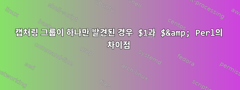 캡처링 그룹이 하나만 발견된 경우 $1과 $&amp; Perl의 차이점