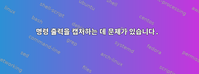 명령 출력을 캡처하는 데 문제가 있습니다.