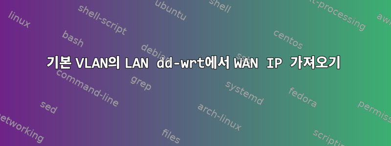 기본 VLAN의 LAN dd-wrt에서 WAN IP 가져오기