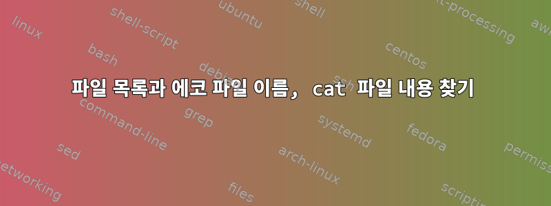 파일 목록과 에코 파일 이름, cat 파일 내용 찾기