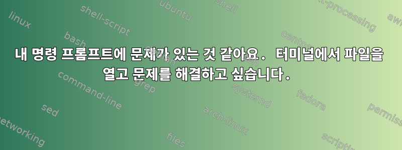 내 명령 프롬프트에 문제가 있는 것 같아요. 터미널에서 파일을 열고 문제를 해결하고 싶습니다.