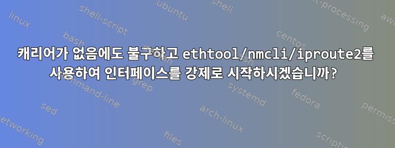 캐리어가 없음에도 불구하고 ethtool/nmcli/iproute2를 사용하여 인터페이스를 강제로 시작하시겠습니까?