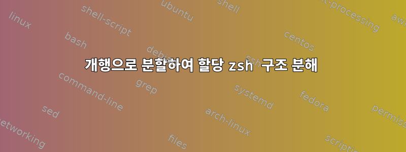 개행으로 분할하여 할당 zsh 구조 분해