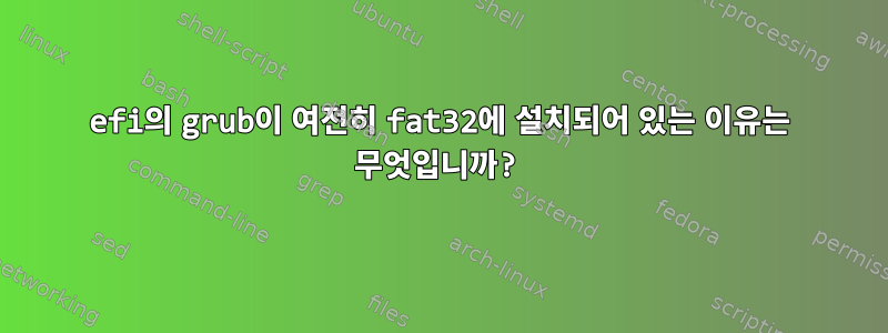 efi의 grub이 여전히 fat32에 설치되어 있는 이유는 무엇입니까?