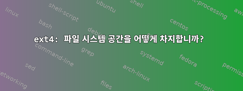 ext4: 파일 시스템 공간을 어떻게 차지합니까?