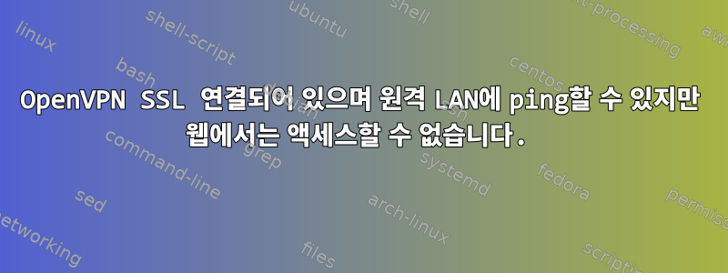 OpenVPN SSL 연결되어 있으며 원격 LAN에 ping할 수 있지만 웹에서는 액세스할 수 없습니다.