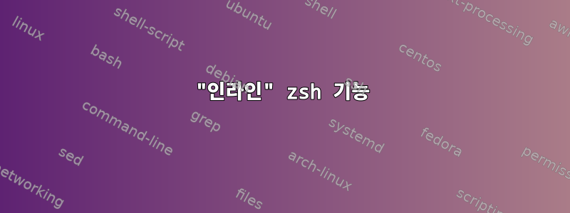 "인라인" zsh 기능