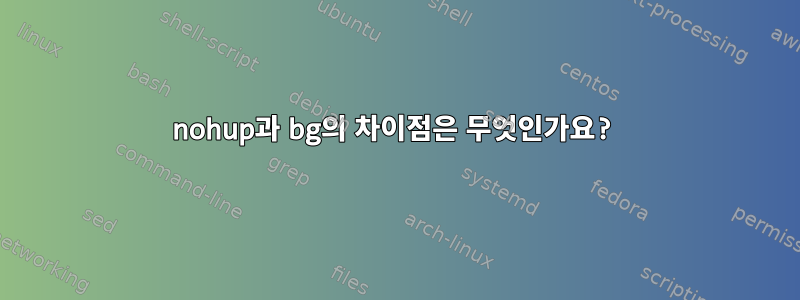 nohup과 bg의 차이점은 무엇인가요?