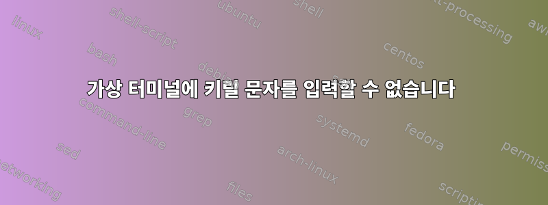 가상 터미널에 키릴 문자를 입력할 수 없습니다