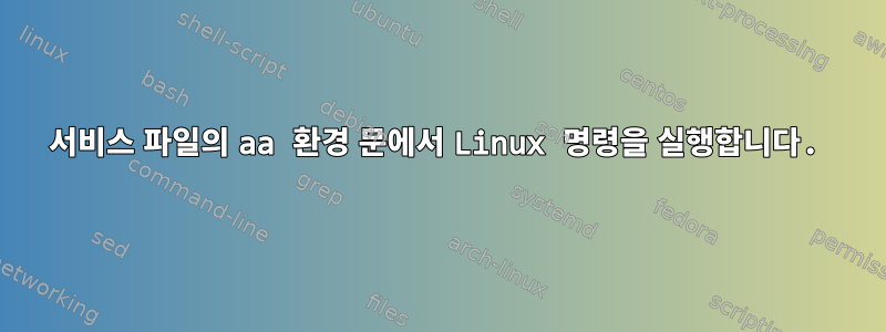 서비스 파일의 aa 환경 문에서 Linux 명령을 실행합니다.