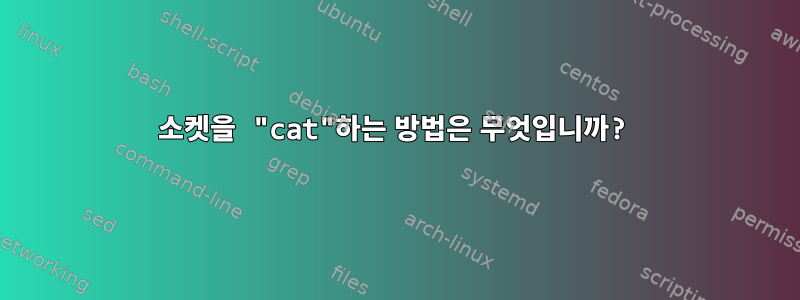 소켓을 "cat"하는 방법은 무엇입니까?