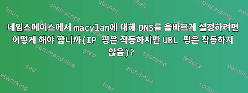 네임스페이스에서 macvlan에 대해 DNS를 올바르게 설정하려면 어떻게 해야 합니까(IP 핑은 작동하지만 URL 핑은 작동하지 않음)?