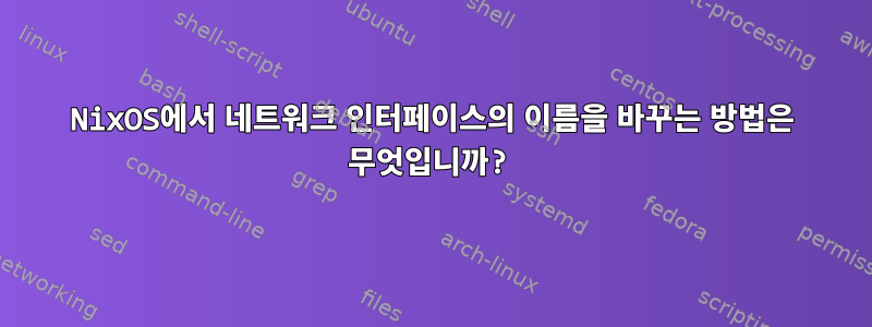 NixOS에서 네트워크 인터페이스의 이름을 바꾸는 방법은 무엇입니까?