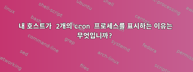 내 호스트가 2개의 cron 프로세스를 표시하는 이유는 무엇입니까?