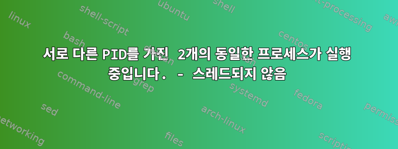 서로 다른 PID를 가진 2개의 동일한 프로세스가 실행 중입니다. - 스레드되지 않음