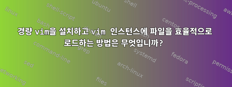 경량 vim을 설치하고 vim 인스턴스에 파일을 효율적으로 로드하는 방법은 무엇입니까?