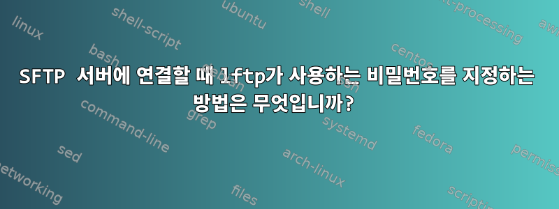 SFTP 서버에 연결할 때 lftp가 사용하는 비밀번호를 지정하는 방법은 무엇입니까?