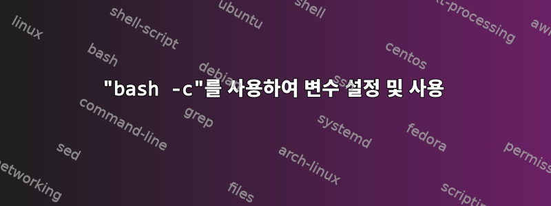 "bash -c"를 사용하여 변수 설정 및 사용