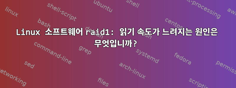 Linux 소프트웨어 raid1: 읽기 속도가 느려지는 원인은 무엇입니까?