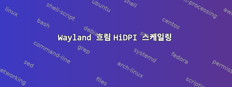 Wayland 흐림 HiDPI 스케일링