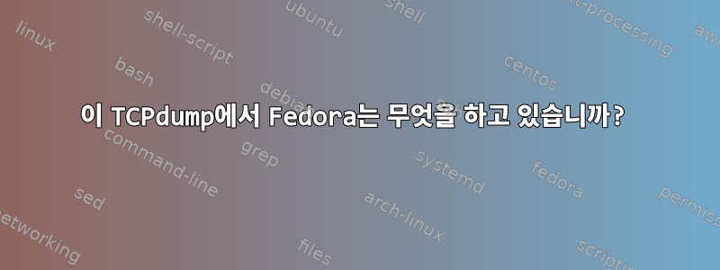 이 TCPdump에서 Fedora는 무엇을 하고 있습니까?