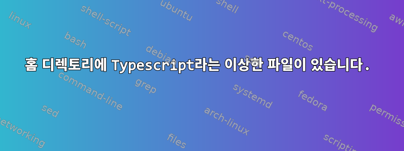 홈 디렉토리에 Typescript라는 이상한 파일이 있습니다.