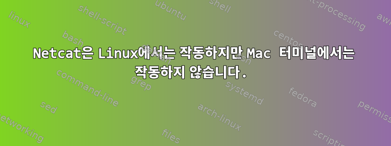 Netcat은 Linux에서는 작동하지만 Mac 터미널에서는 작동하지 않습니다.