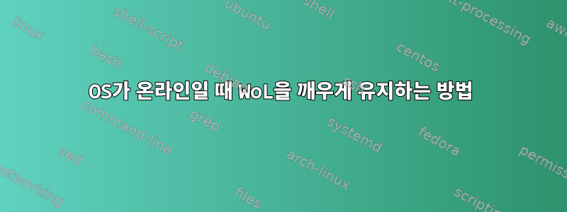 OS가 온라인일 때 WoL을 깨우게 유지하는 방법