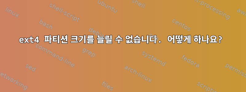 ext4 파티션 크기를 늘릴 수 없습니다. 어떻게 하나요?