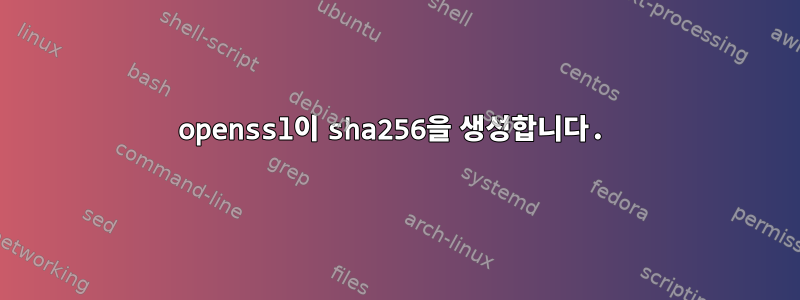 openssl이 sha256을 생성합니다.