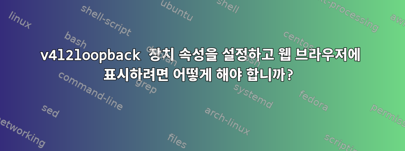 v4l2loopback 장치 속성을 설정하고 웹 브라우저에 표시하려면 어떻게 해야 합니까?